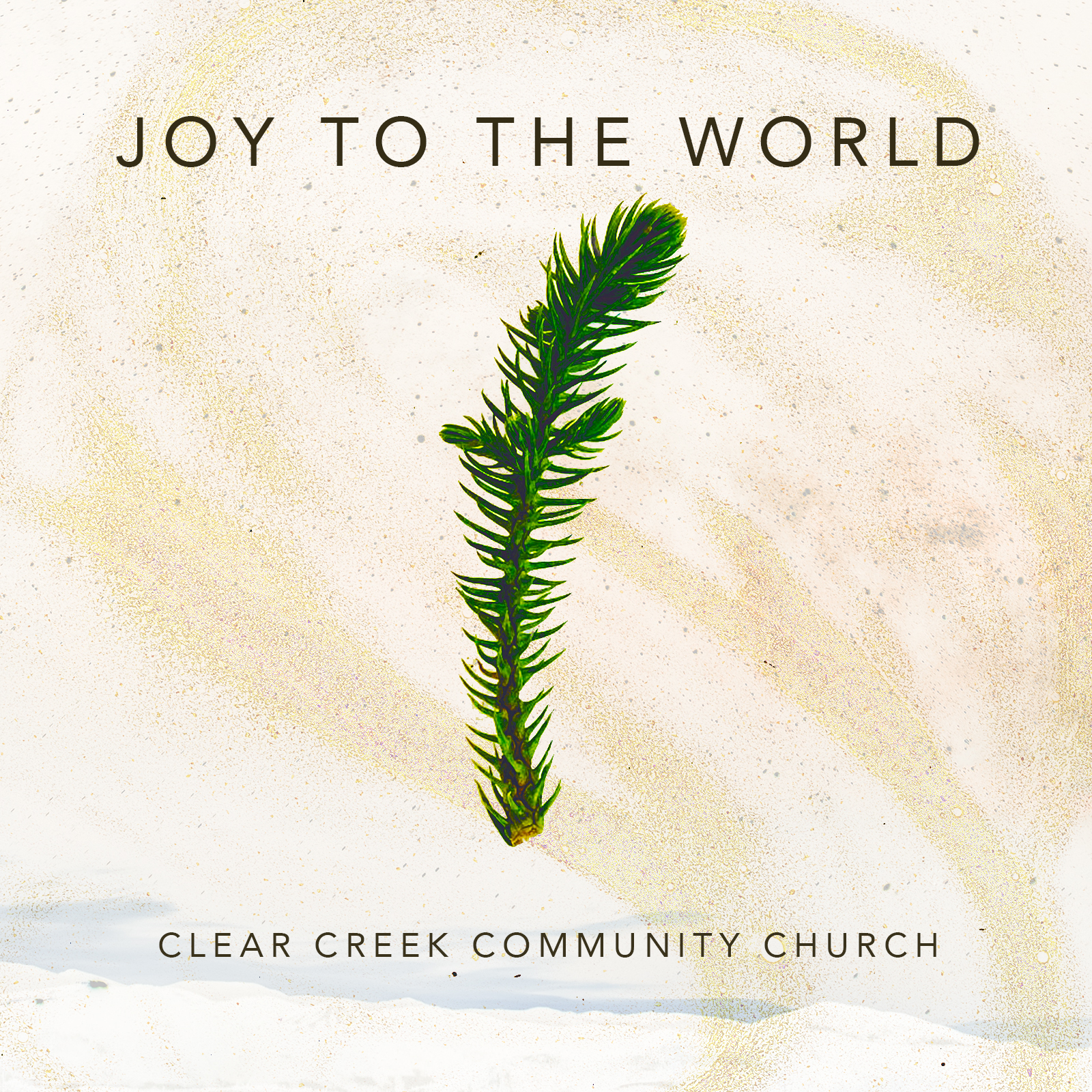 Joy to the World final cover