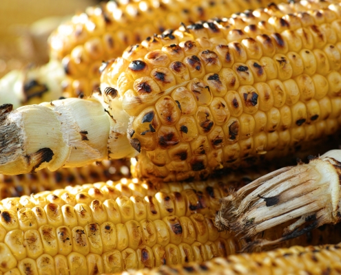 Roasted Corn