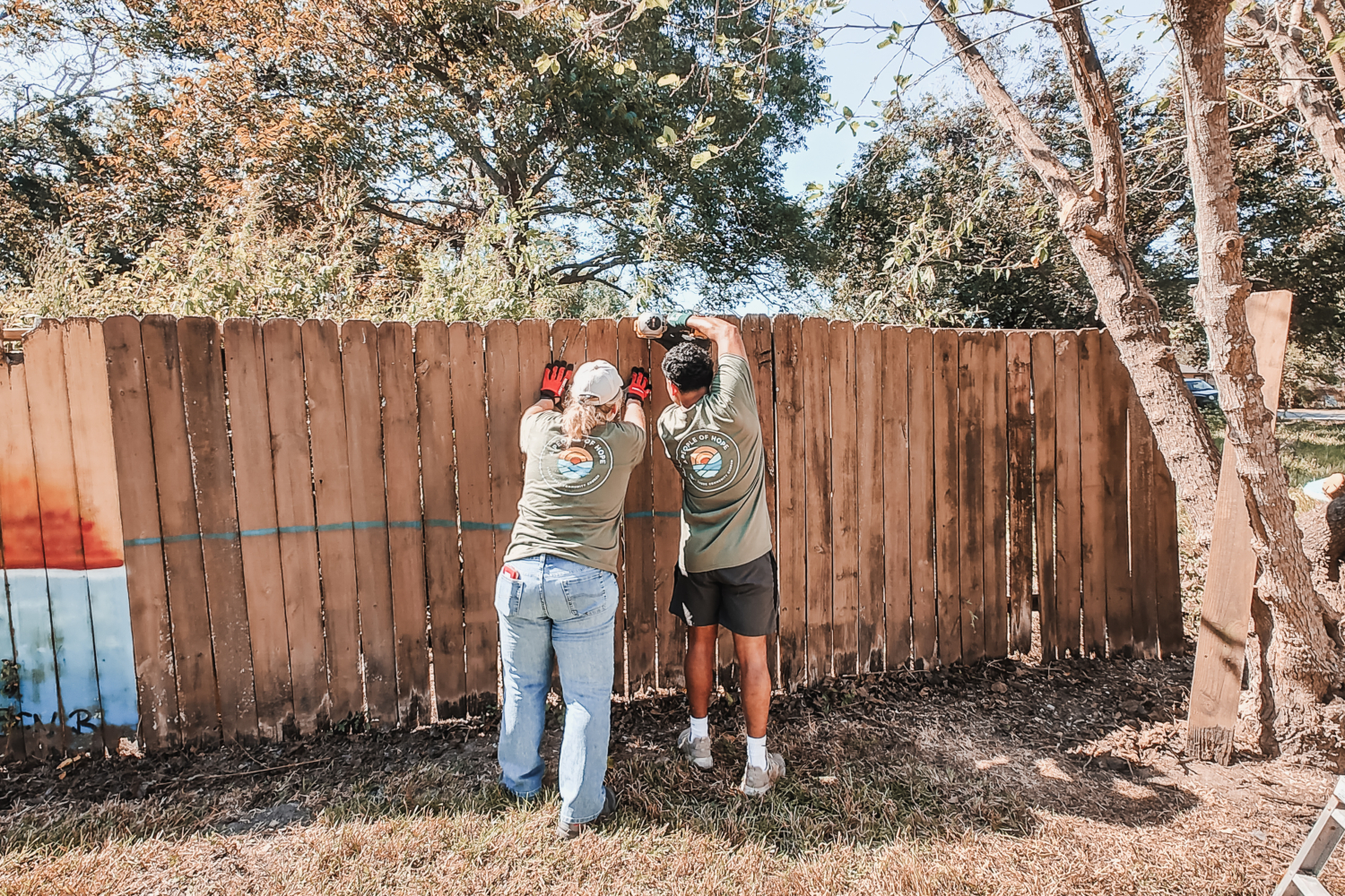 IMG_20241027_121034441_HDR Patricia Hill